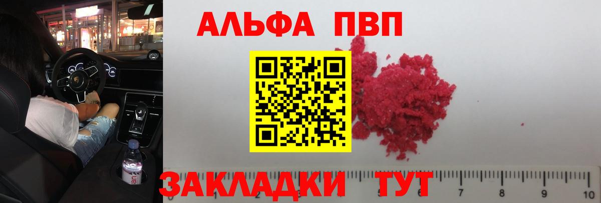 APVP СК Кострома