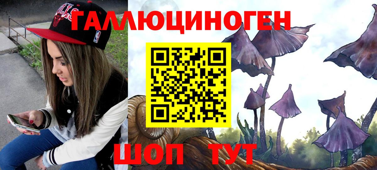 Псилоцибиновые грибы мицелий  Вход с VPN  Кострома  Галлюциногенные грибы прущие грибы 