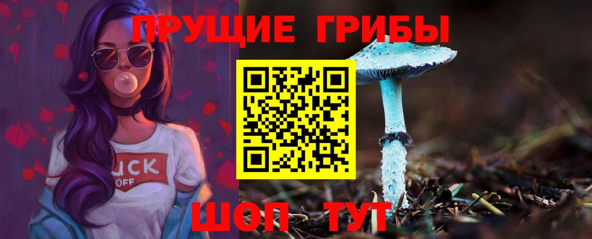Псилоцибиновые грибы мицелий Кострома